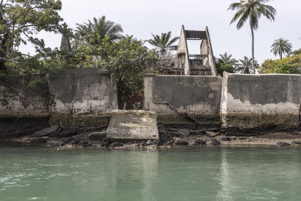 The coastline retreats by up to seven metres each year, causing mangrove loss and threatening both humans and animals