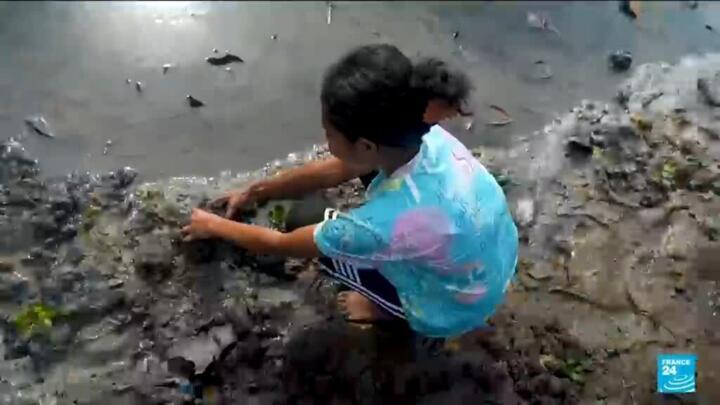 Fighting climate change with imaginative methods in East Timor