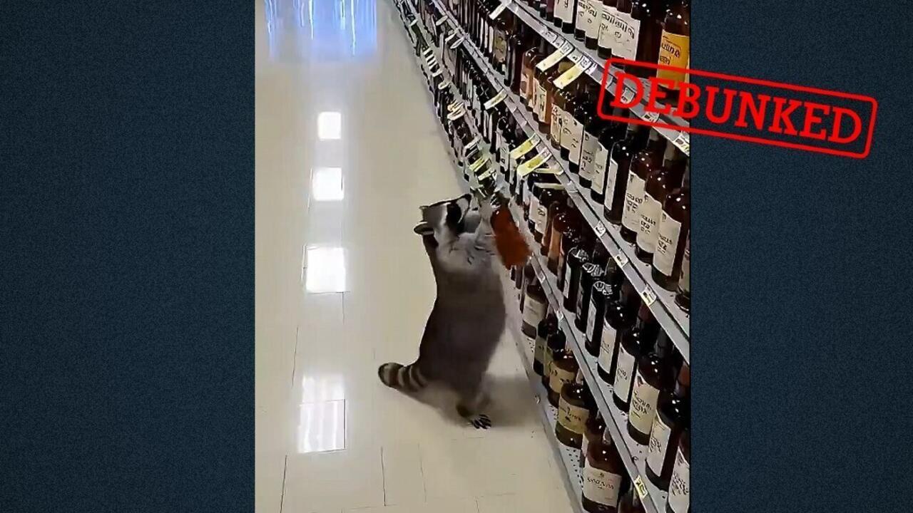 This video of a drunk raccoon posted on December 6, 2025, was actually generated by AI.