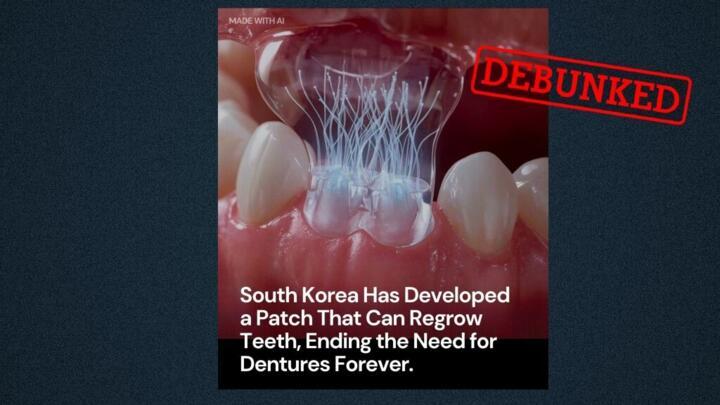Contrary to claims made in posts posted on November 27, 2025 on social media, South Korea has not developed a patch that can regrow teeth.