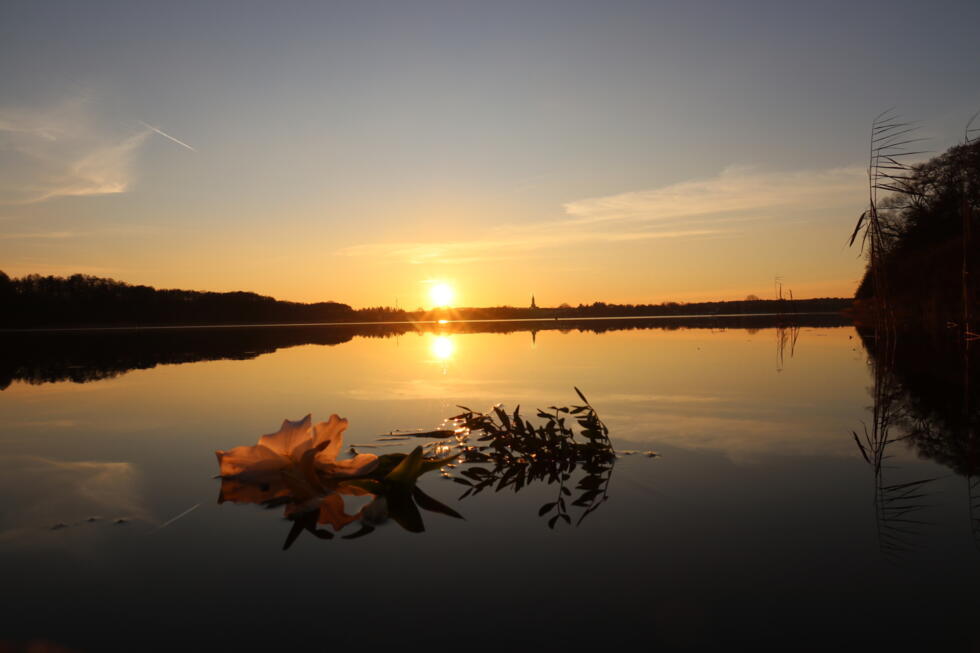 Flowers placed on a lake next to the Ravensbrück Memorial in Germany.