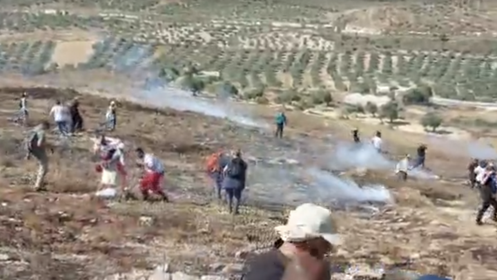 Volunteers and harvesters run across a hillside olive grove as smoke rises around them during an attack by the settlers near the Palestinian village of Burin.
